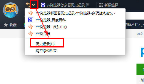 yy浏览器怎么看历史记录