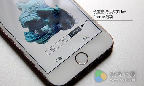 iPhone7关闭Live Photos教程2