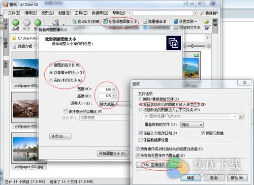 ACDSee怎么批量修改图片大小/文件名6