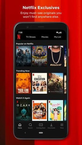 网飞netflix安卓中文版 V7.120.07 35589