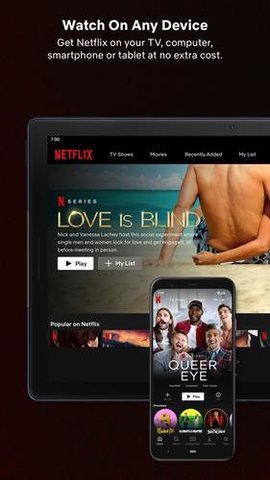 网飞netflix安卓中文版 V7.120.07 35589