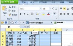 WPS Office 表格快速生成用户名和密码