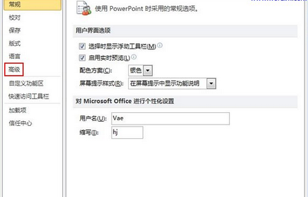 Power Point选项窗口左侧的“高级”