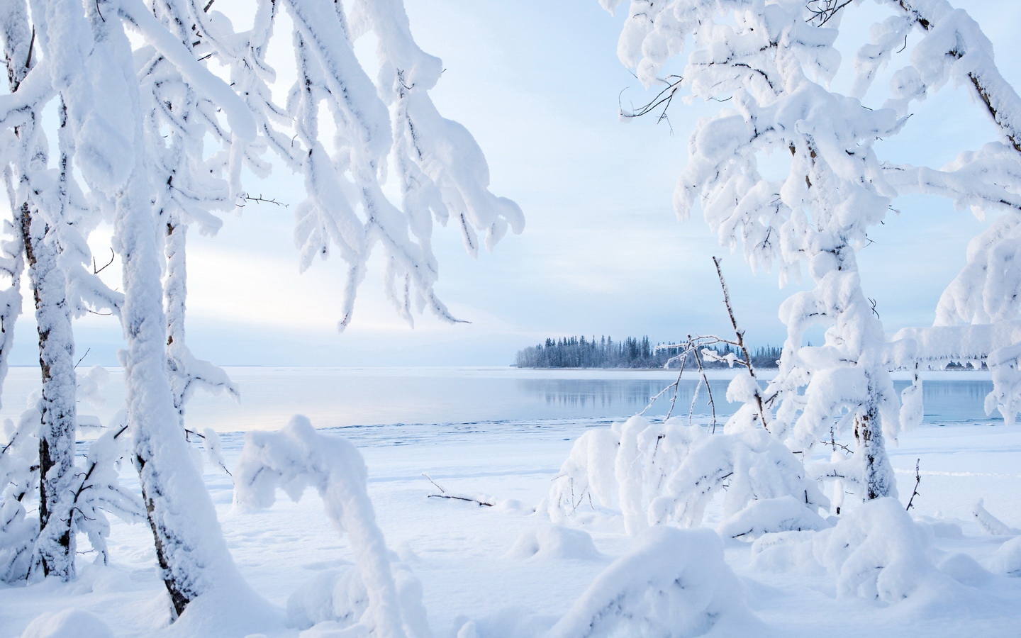 雪景唯美桌面壁纸 