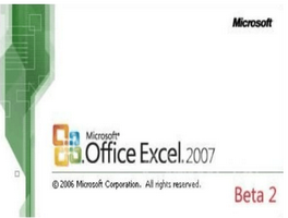 Excel 2007表格中字段设置技巧