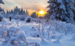 唯美雪景桌面壁纸