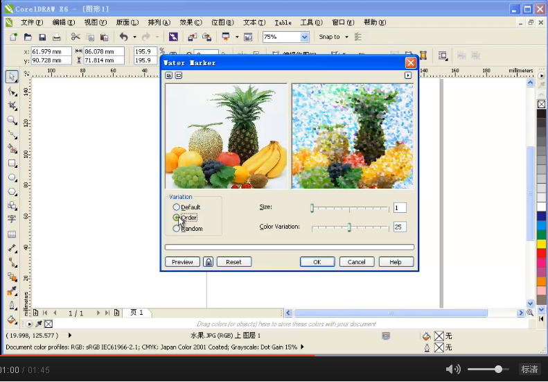 CorelDRAW视频 课堂举例-水印画